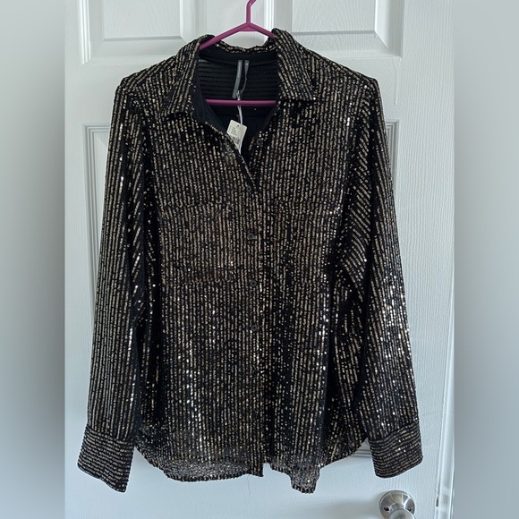NWT Anthropologie 1X Plus The Remie Sequin Button-down Shirt - Picture 10 of 12